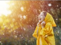 WhatsApp Image 2026-02-05 at 14.16.38