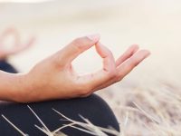 WhatsApp Image 2026-02-05 at 14.43.37